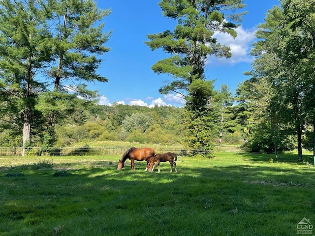 view of yard featuring a rural view