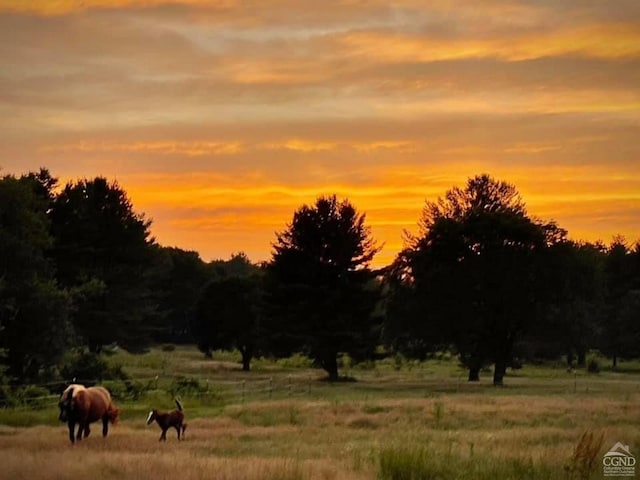 nature at dusk featuring a rural view