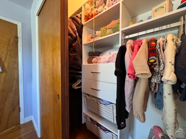 view of closet