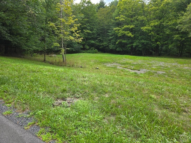 96 Deyo Rd, Alcove NY, 12046 land for sale