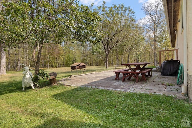 view of yard featuring a patio area