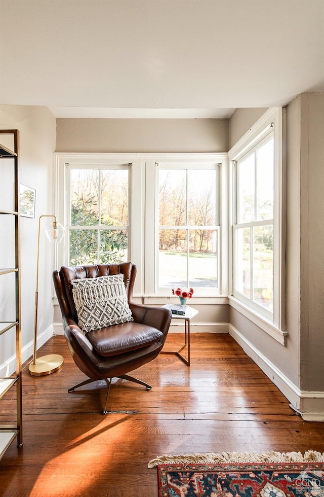 living area with wood-type flooring and a wealth of natural light