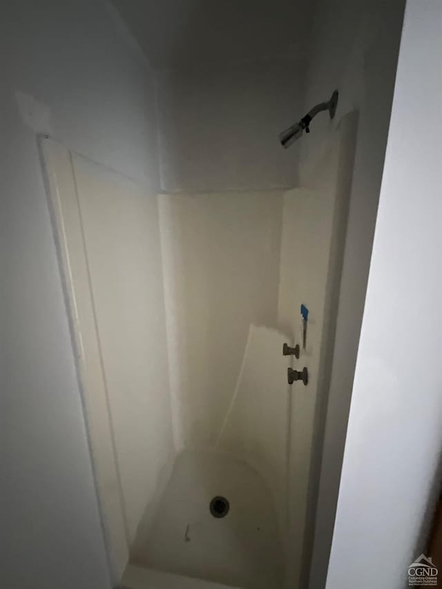 bathroom with a shower