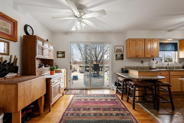 kitchen featuring a sink, ceiling fan, and light wood-type flooring