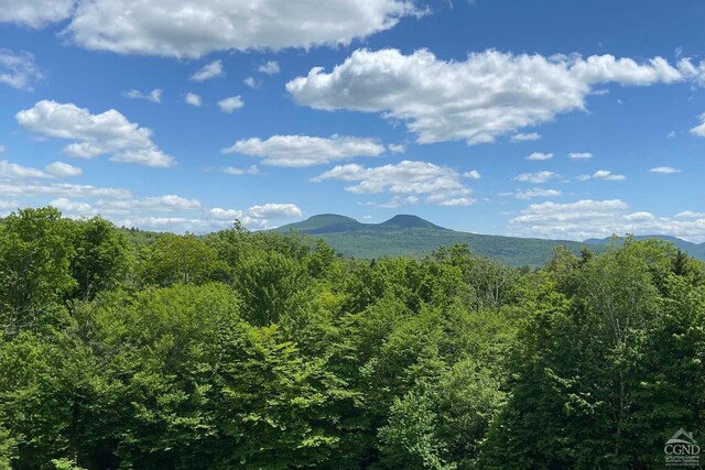 view of mountain feature