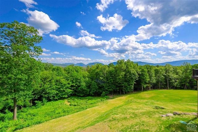 view of yard featuring a mountain view