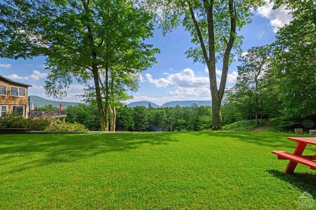 view of yard with a mountain view