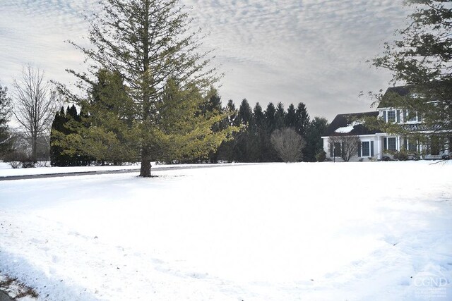 view of yard layered in snow