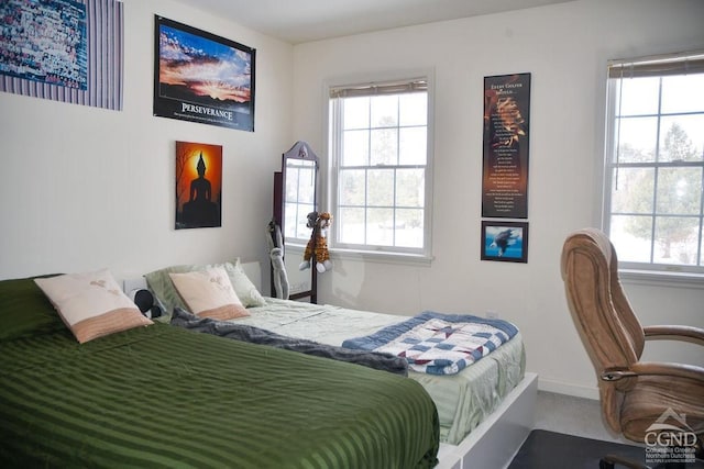 carpeted bedroom with multiple windows