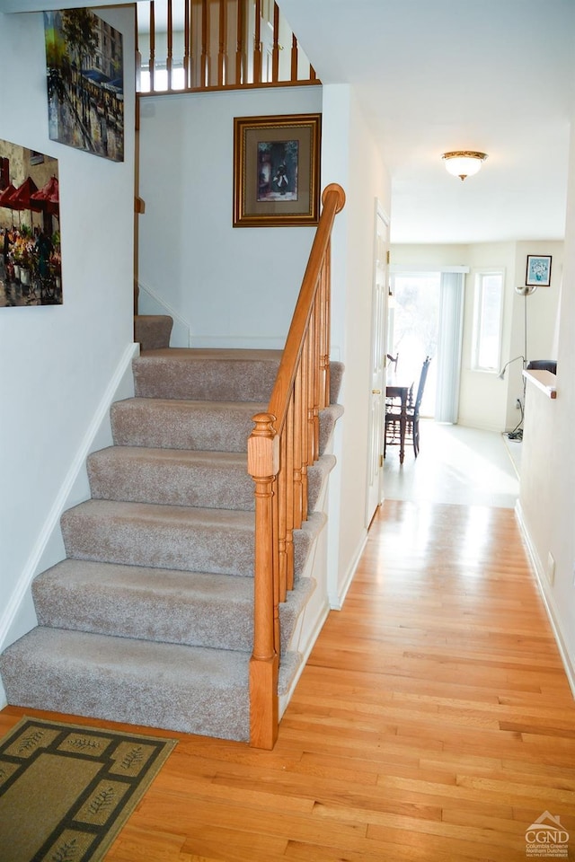 stairway with hardwood / wood-style flooring