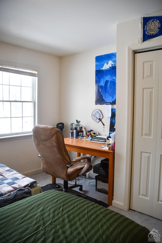 view of carpeted office space