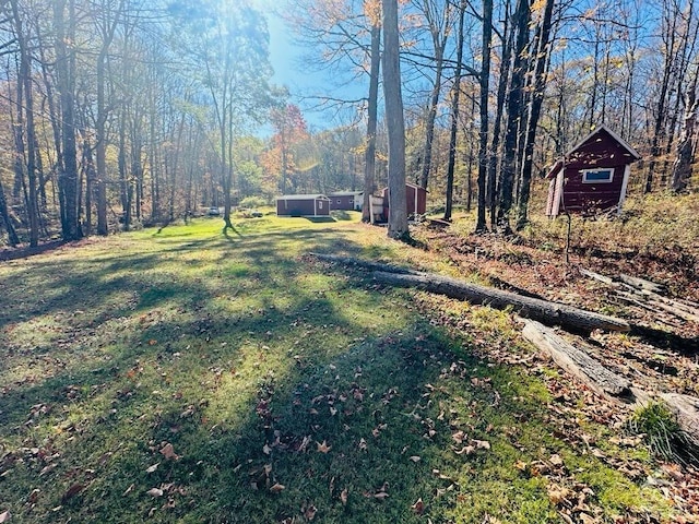 view of yard with a storage unit