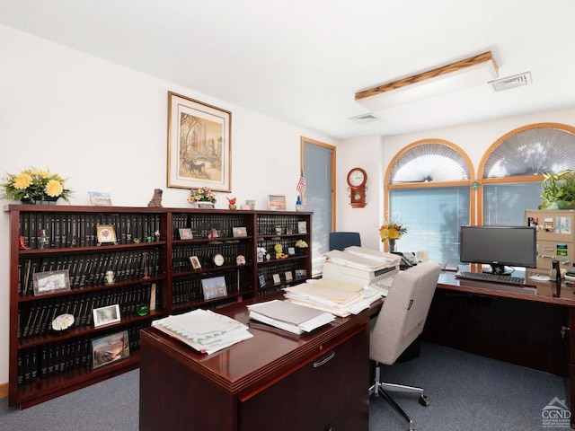 office space with carpet floors