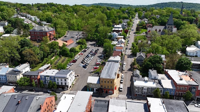 drone / aerial view