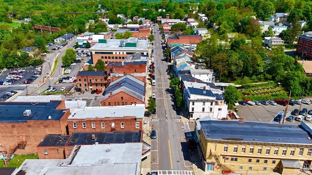 drone / aerial view