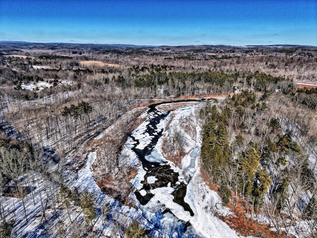 birds eye view of property featuring a wooded view