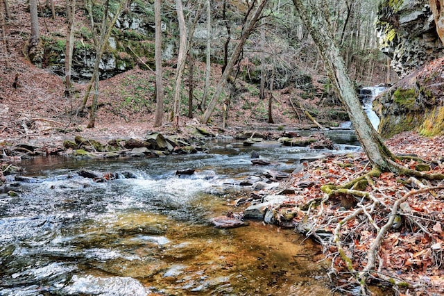 view of nature