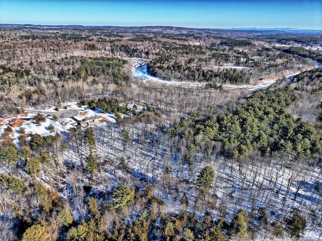 bird's eye view with a wooded view