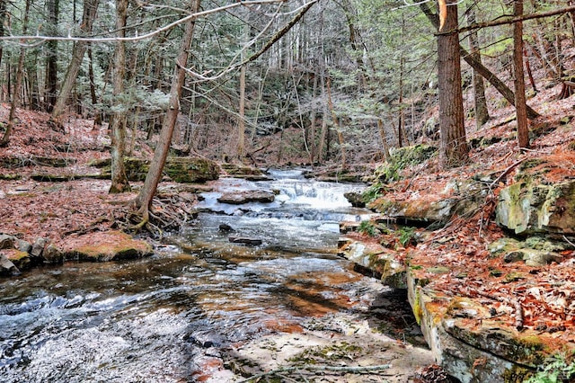 view of landscape featuring a forest view