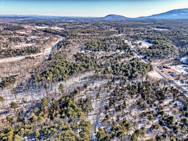 drone / aerial view featuring a mountain view