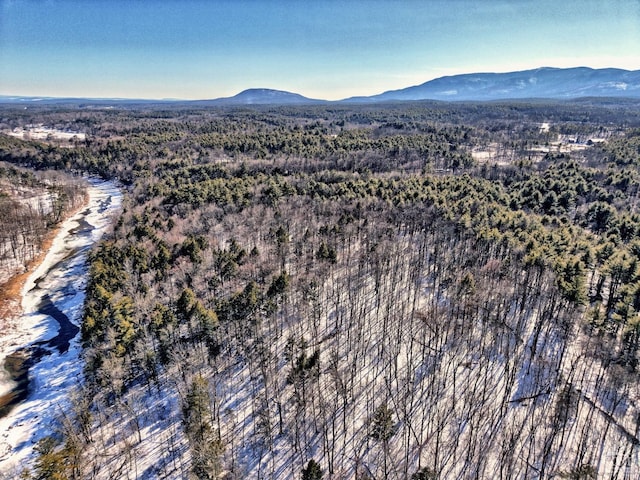 bird's eye view with a view of trees and a mountain view