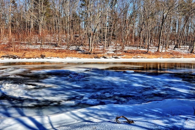 view of snow covered pool