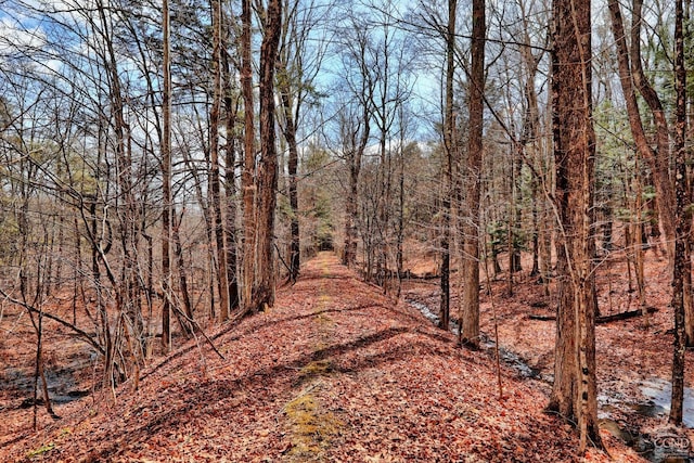 view of landscape featuring a wooded view