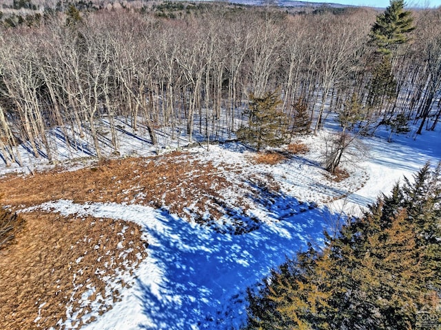 view of snow covered land