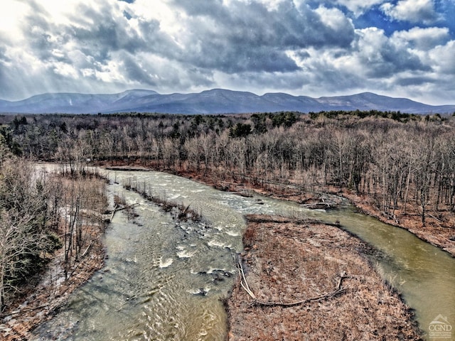 view of mountain feature with a wooded view