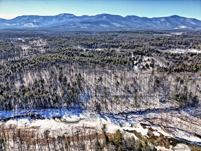 drone / aerial view featuring a mountain view