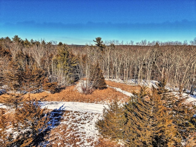 view of local wilderness