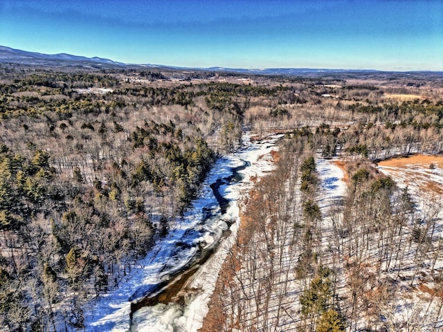 aerial view featuring a forest view