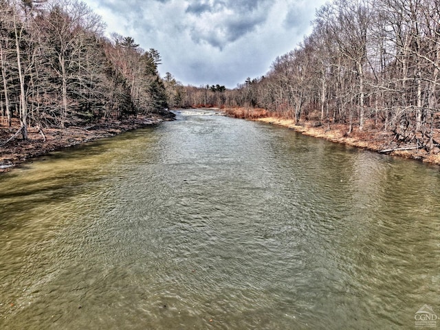 water view with a wooded view