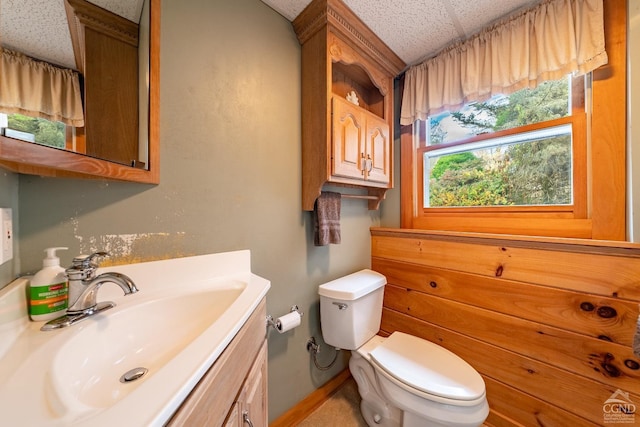 bathroom featuring vanity, a textured ceiling, and toilet