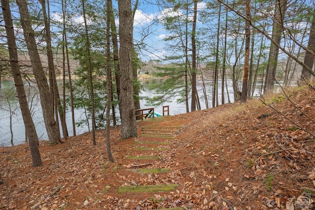 exterior space featuring a boat dock