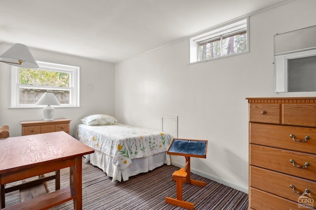 bedroom with carpet floors and multiple windows