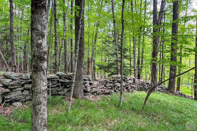 view of local wilderness