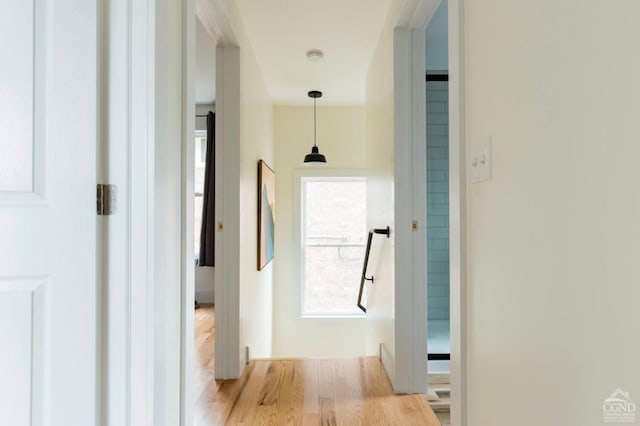 hall with wood finished floors