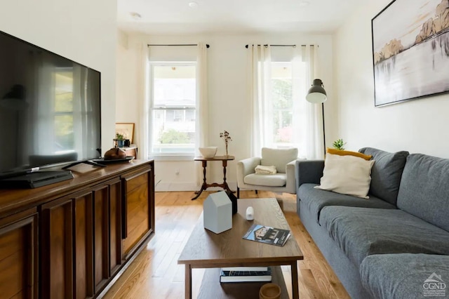 living room featuring light wood finished floors