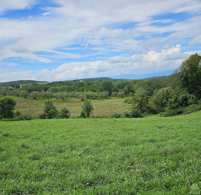 view of mountain feature