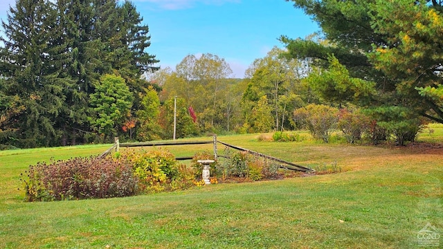 view of property's community with a yard