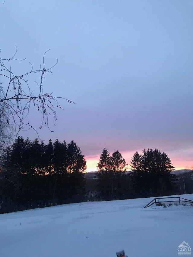 view of snowy yard