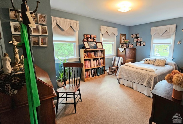 bedroom with carpet floors