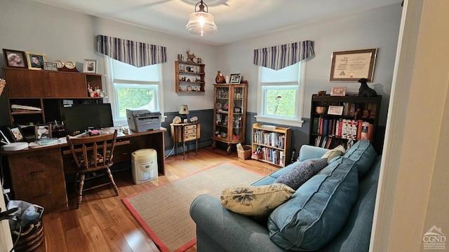 office featuring wood-type flooring