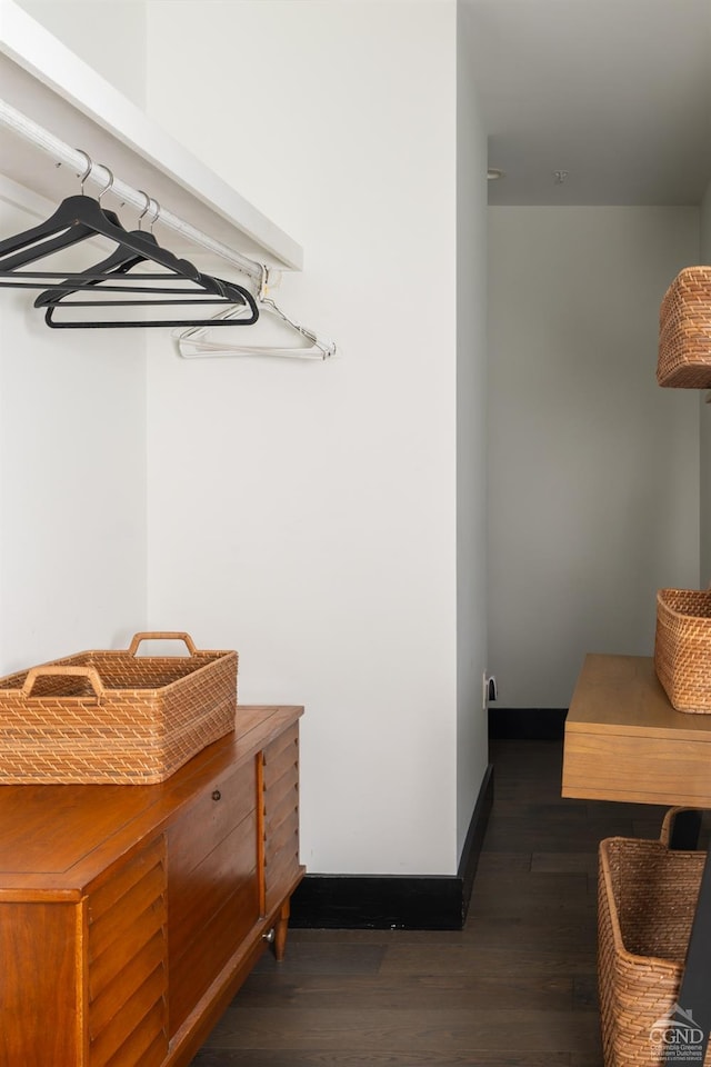 spacious closet with dark wood finished floors