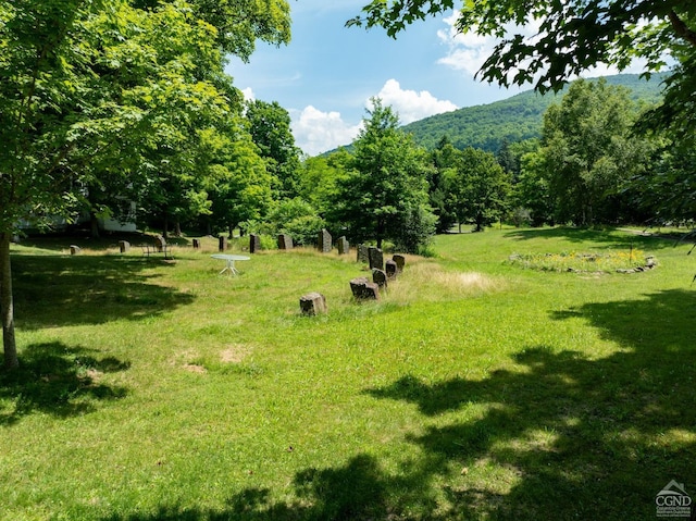 exterior space featuring a mountain view and a rural view