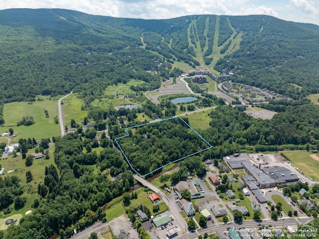 drone / aerial view with a water and mountain view