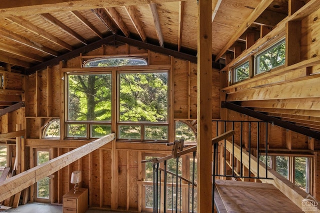 miscellaneous room with lofted ceiling