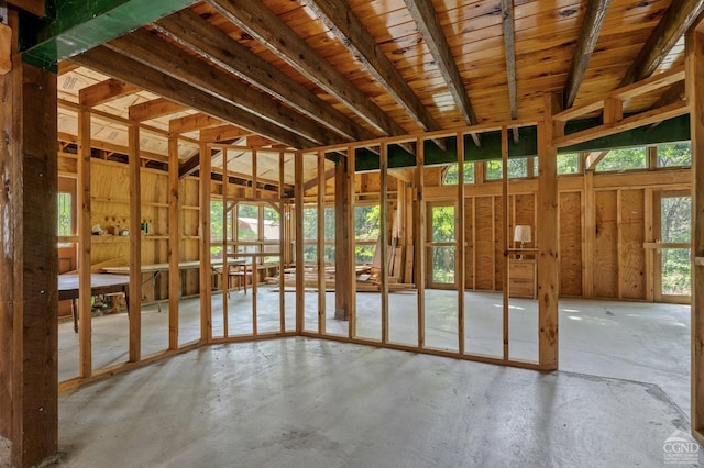 miscellaneous room featuring plenty of natural light