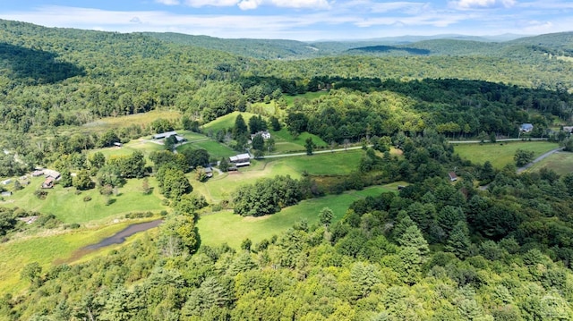 drone / aerial view featuring a mountain view